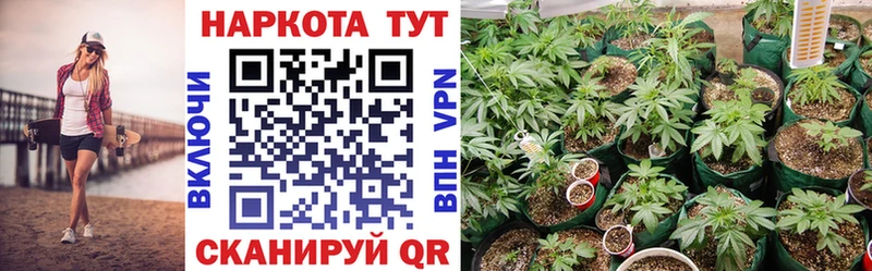 Что такое Самара МАРИХУАНА  Амфетамин  Cocaine  Alpha-PVP  ГАШИШ  Меф мяу мяу 