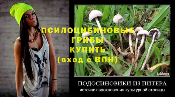 дмт Алексин