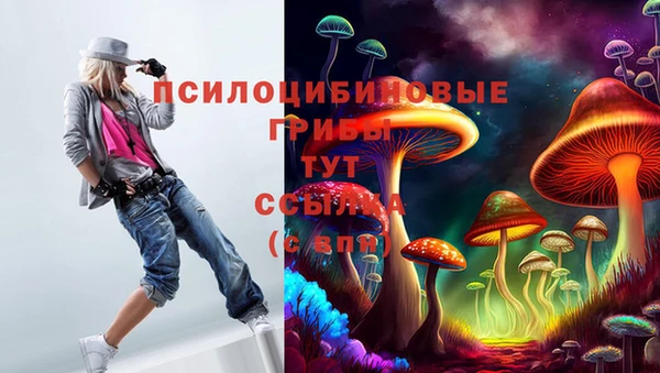 гидропоника Алзамай