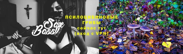 гидропоника Алзамай