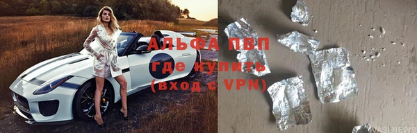 дмт Алексин