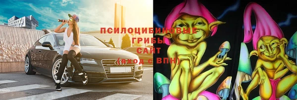 гидропоника Алзамай